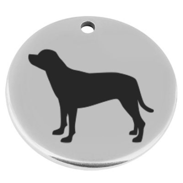 22 mm, Metallanhänger, rund, mit Gravur Hunderasse "Rottweiler", versilbert