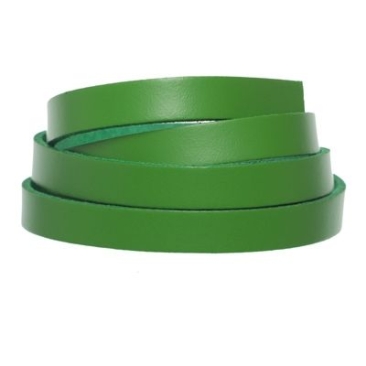 Berlin Lederband, 10 mm x 2 mm, Länge 1 m, hellgrün