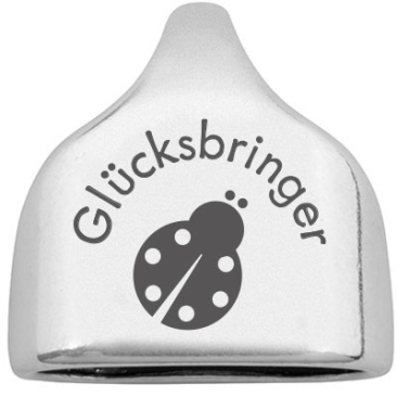 End cap with engraving "Lucky charm" with ladybird, 22.5 x 23 mm, silver-plated, suitable for 10 mm sail rope