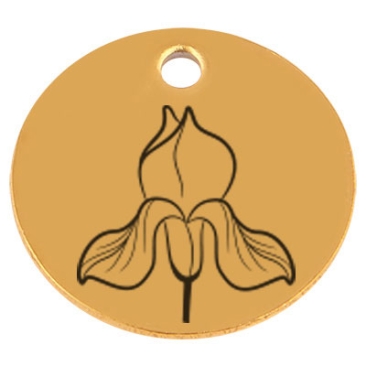 Edelstahl Anhänger, Rund, Durchmesser 15 mm, Motiv Geburtsblume Monat Februar Iris, goldfarben