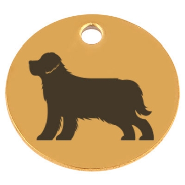 Edelstahl Anhänger, Rund, Durchmesser 15 mm, Motiv Hunderasse "Berner Sennenhund", goldfarben