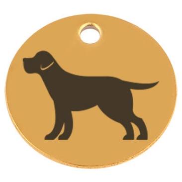 Edelstahl Anhänger, Rund, Durchmesser 15 mm, Motiv Hunderasse "Labrador", goldfarben