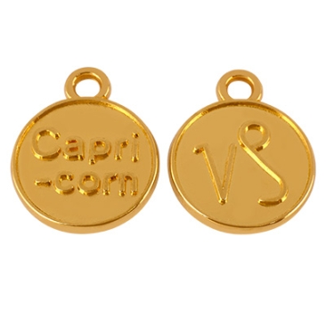 Pendentif métal signe astrologique Capricorne, diamètre 12 mm, doré