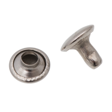 Rivet for leather, head 8 mm, height pin 6 mm, diameter pin 3 mm, silver-coloured