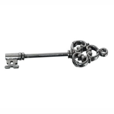 Porte-clés interchangeable, longueur 75 mm, argenté