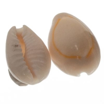 Pendentif en coquillage Cowrie, ovale, environ 20 - 23 x 14 -20 mm