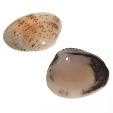 Pendentif en forme de coquillage, environ 24 -29 x 30 -35 mm