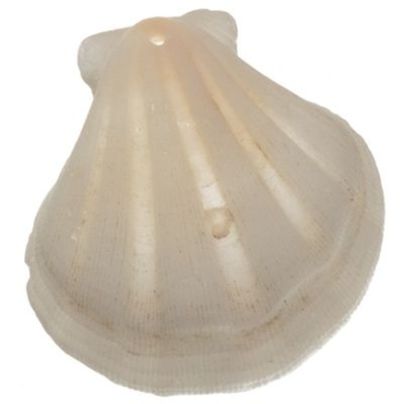 Shell pendant, approx. 39 -45 x 37 -42 mm