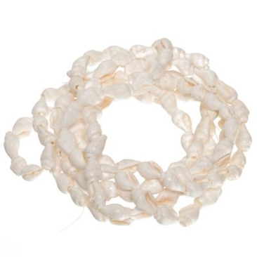Strand of shell beads, scroll approx. 10 x 5 mm, length approx. 150 cm, white