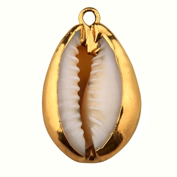 Cowrie schelp hanger, met goudkleurige rand en oogje, 25,0 x 15,5 mm