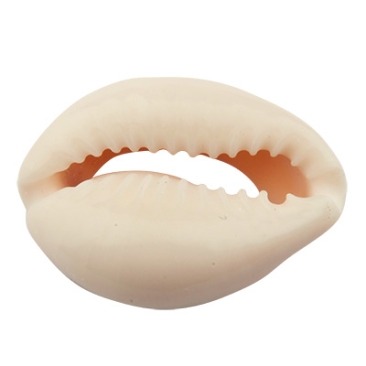 Perle de coquillage Cowrie, ovale, dos plat, env. 16 x 10 mm