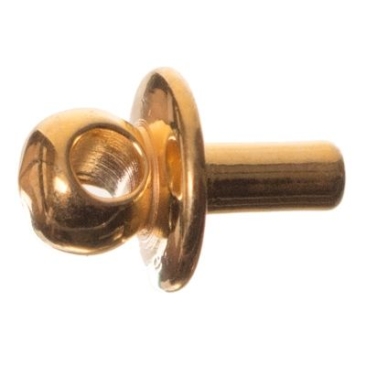 Capuchon pour pendentif avec oeillet pour perles polaires à partir de 1,8 mm de perçage, doré