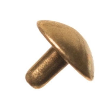 Capuchon pour pendentif sans oeillet pour perles Polaris à partir de 1,8 mm de perçage, couleur bronze