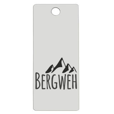 Stainless steel pendant, rectangle, 16 x 38 mm, motif: Bergweh, silver-coloured 