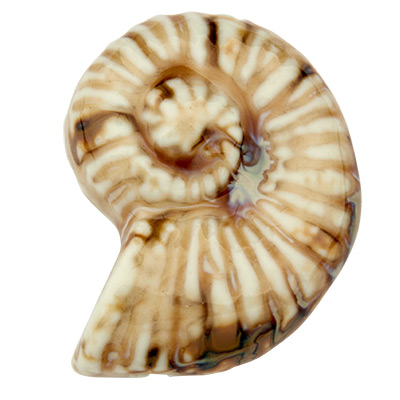 Perle en porcelaine émaillée antique, escargot, brun clair, 42 x 31,5 mm 