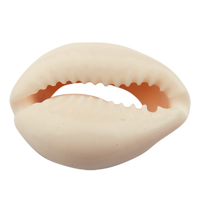 Perle de coquillage Cowrie, ovale, dos plat, env. 17,5 x 11 mm 