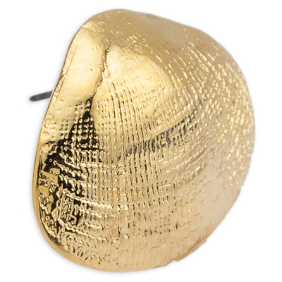 Ohrring Muschel, mit Titanstift, vergoldet 