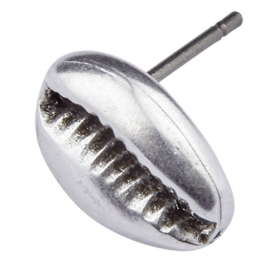 Cowrie schelp oorbel, 11 mm, met titanium pin, verzilverd 