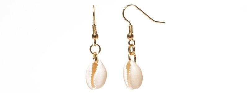Earrings with shells 